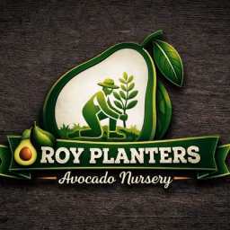  Roy Planters Narsary 