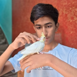 Ak & Pets