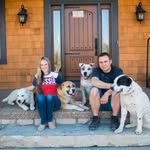 Central asian shepherd kennel USA