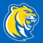 Misericordia University Athletics