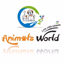 Animal’s World Pets Clinic & Center By Hamza Aslam
