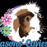 Masons Cavies