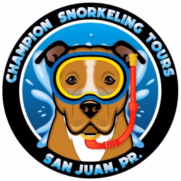 Champion Snorkel Tours