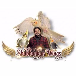 Subhankar Wings