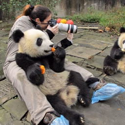 Dafna - Wildlife Photographer