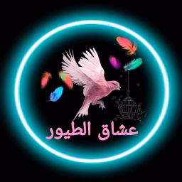 عشاق الطيور birds lovers