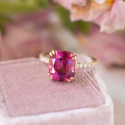 The Ruby Pink Mindset 