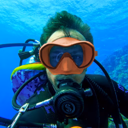 Dive Wise