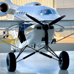 Bizjets and Bushplanes (and Other Cool Stuff!!)