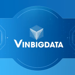 VinBigData