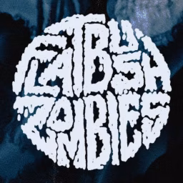 Flatbush Zombies - Topic