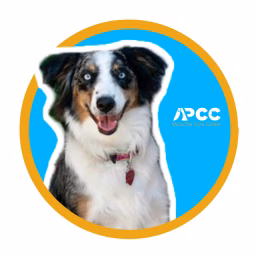 Alicia Pet Care Center