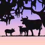 Critter Creek Farm Sanctuary Ⓥ