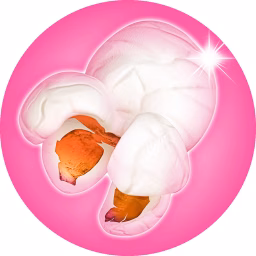 The Pink Popcast