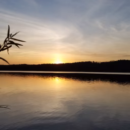 Nature Sleep Serenity