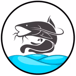 Fish Projects - Budidaya Ikan Gurame