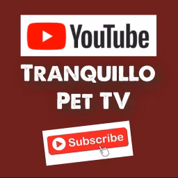 Tranquillo Pet TV