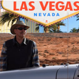 The Vegas Tourist