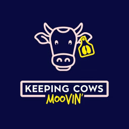 Keeping Cows Moovin