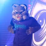 D.Baxter The Bobcat