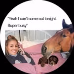 Sillyprune