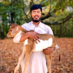 Dairy Farming with Arslan