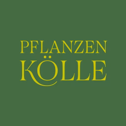 Pflanzen-Kölle