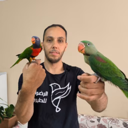 الرضوان لطيور الزينة Al RADWAN