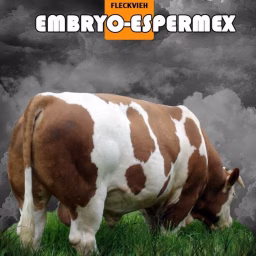 Embryo-Espermex