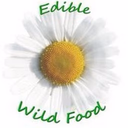EdibleWildFood.com