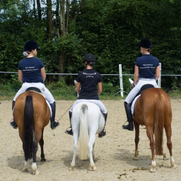 Team Sperber Reitponyzucht Urienne