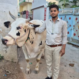Bholu Vet Life