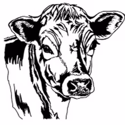 Clover Mountain Dairy