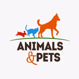 Animals and Pets