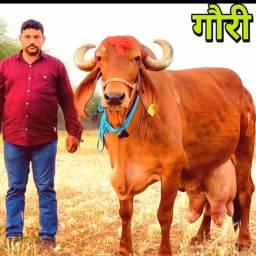 SHREE HARI DAIRY FARM