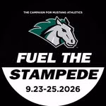 Stevenson University Athletics