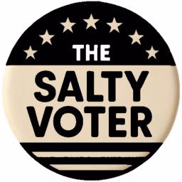 The Salty Voter