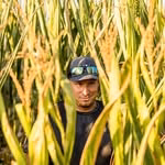 Ryan Tykosh