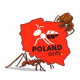 Mrówki Poland Ants