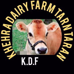 khehra dairy farm tarn taran
