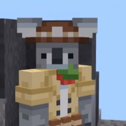 Elite Koala