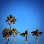 Hollywood Forever Cemetery