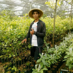 Bibit tani muda
