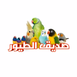 صديق الطيور