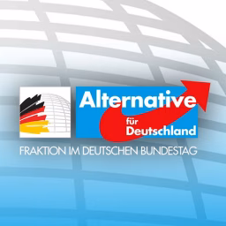AfD-Fraktion Bundestag