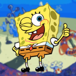 Sponge Universe