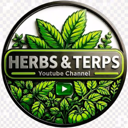Herbs And Terps