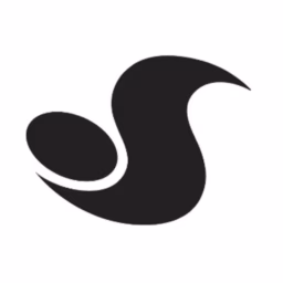 DVS SHOE COMPANY