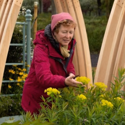 Rosy Hardy Gardening