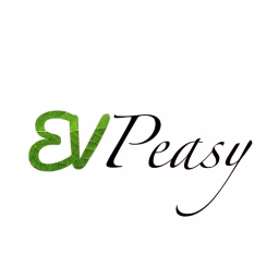EV Peasy, Electric Vehicles